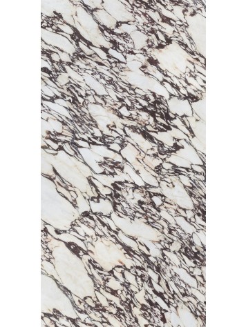 인피니티-MB22칼라카타비올라