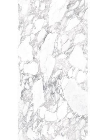 인피니티-MB16칼라카타마니피코